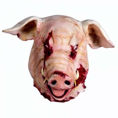 Pig-Fairy Dentist söker gitarrist/vokalist