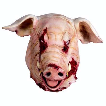 Pig-Fairy Dentist söker gitarrist/vokalist
