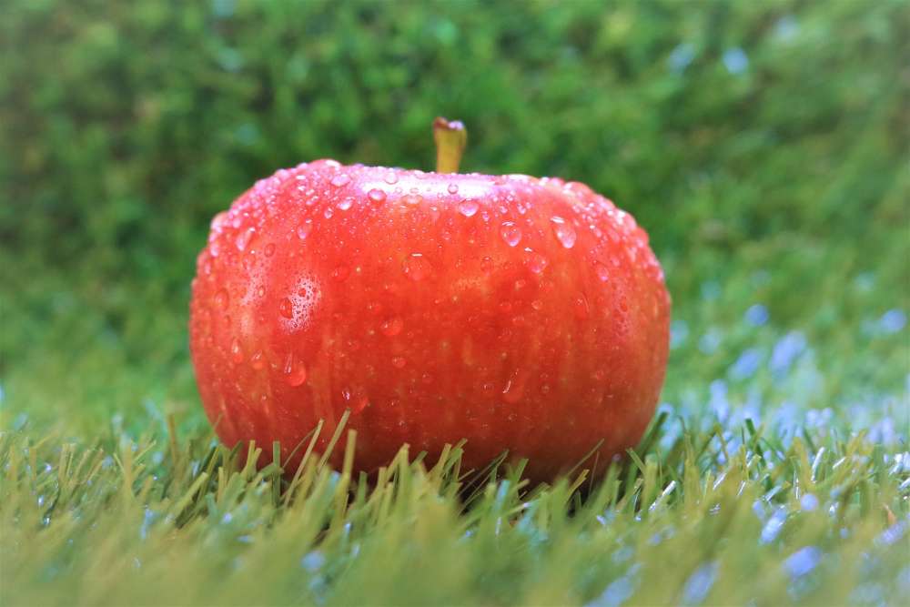 Escaped Apple